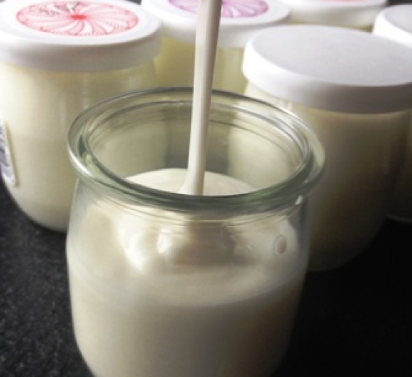 Yogur con la nueva cocina automática TM5 y con TM31, consejos varios