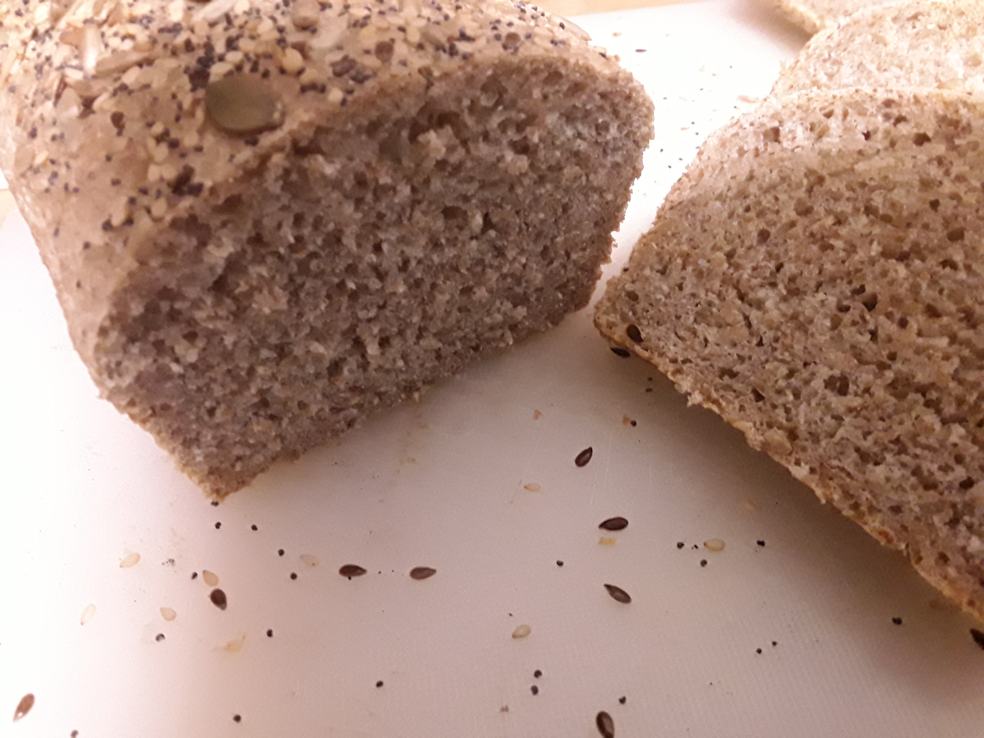 pan integral dieta thermomix